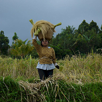 Photo de Bali - Autour de Munduk